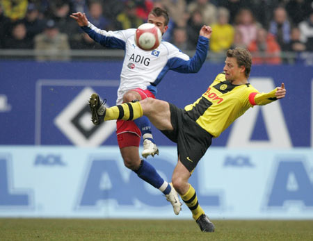 树葬将遗体 树葬将遗体